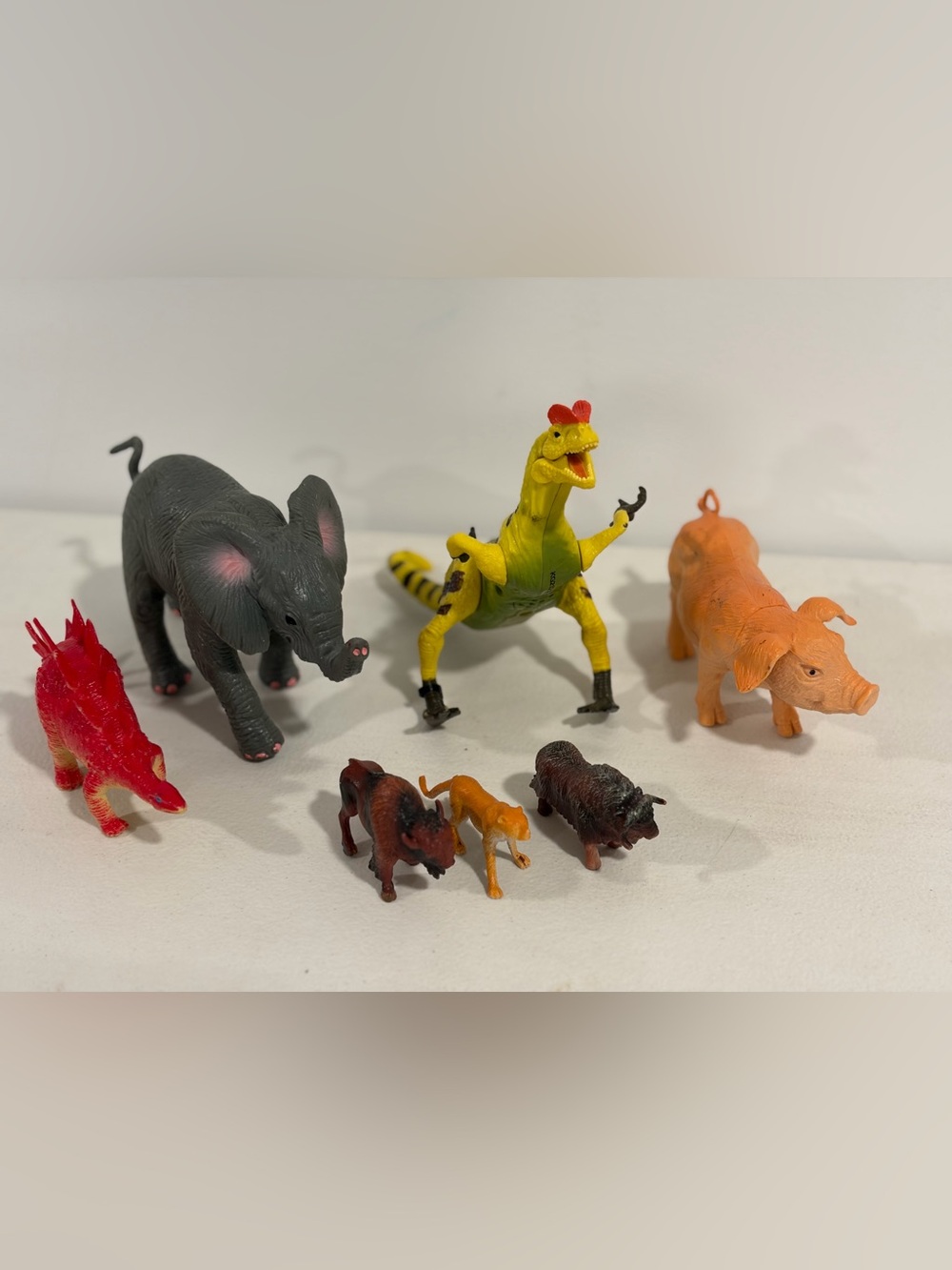 Miscellaneous Animals